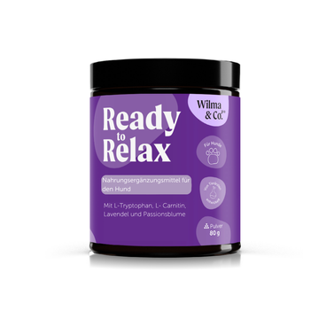 Ready to Relax | Für ein besseres Wohlbefinden