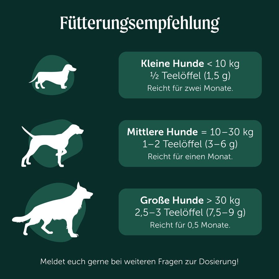 Belly Boost | Für ein besseres Wohlbefinden