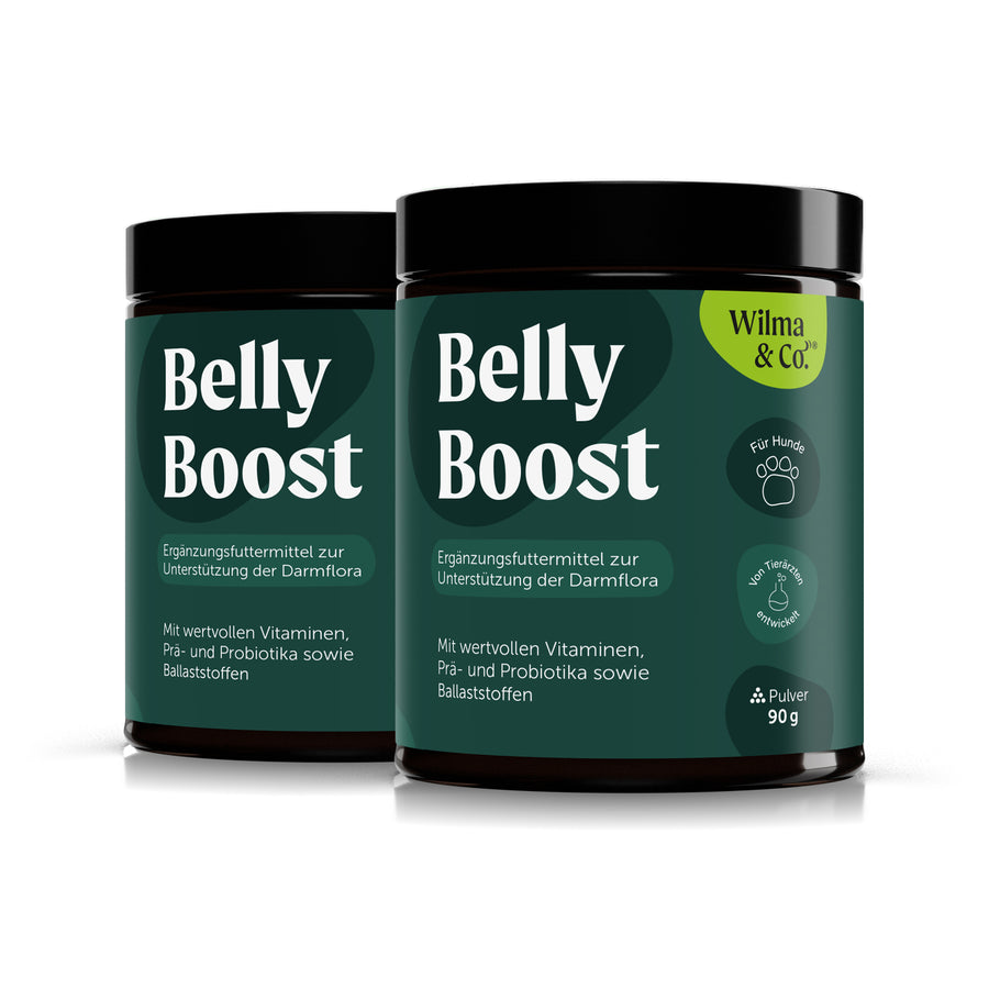 Belly Boost | Pulver für eine gesunde Verdauung